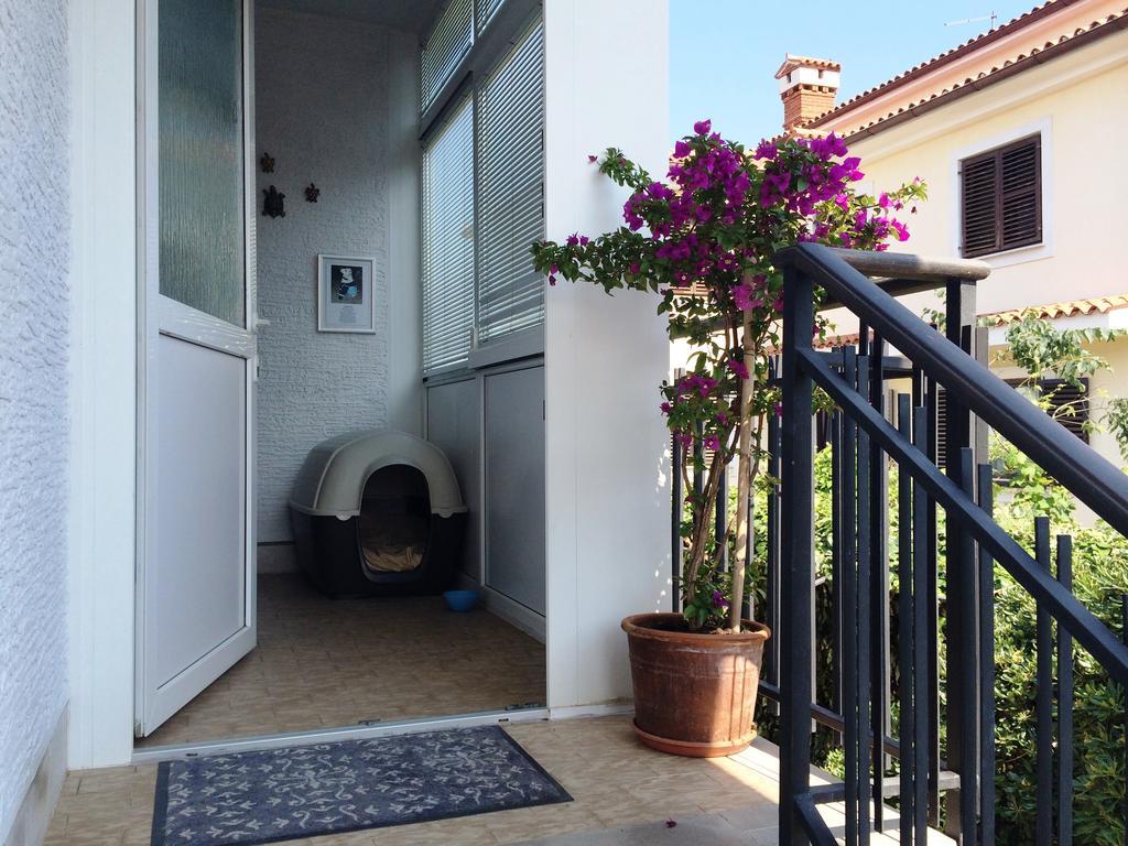 Apartments Kolorcek Izola Exterior photo